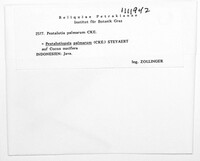 Image Associated With the Occurrence